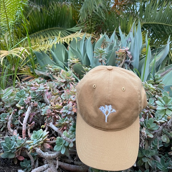 • Joshua Tree Dad Hat • - Picture 4 of 5